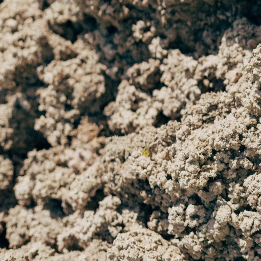 circular construction