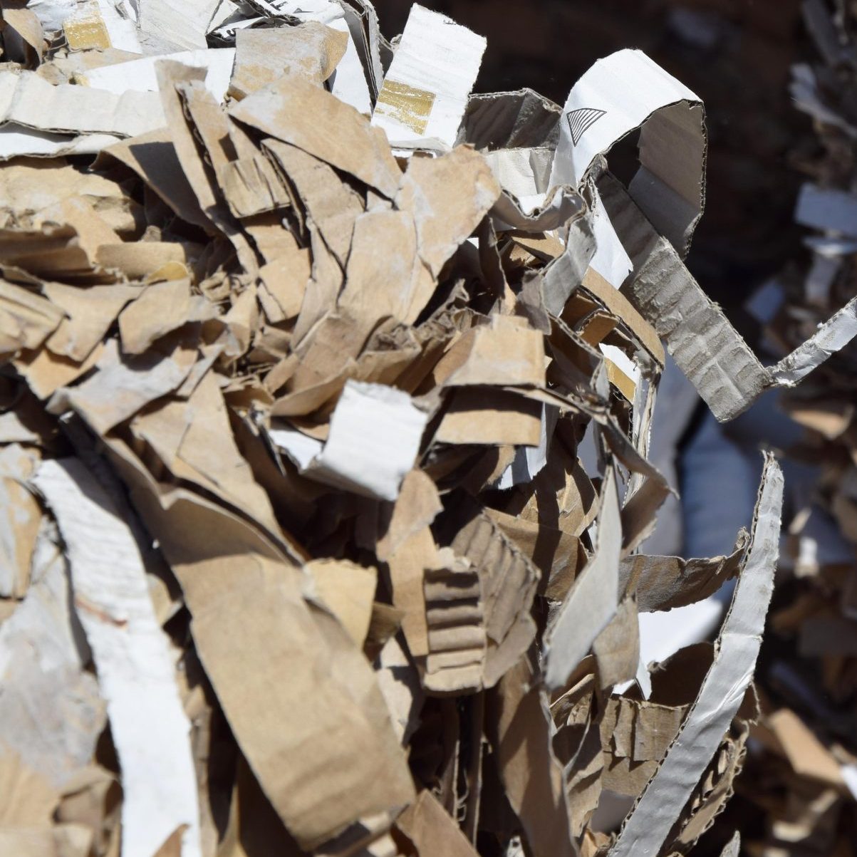 circular construction