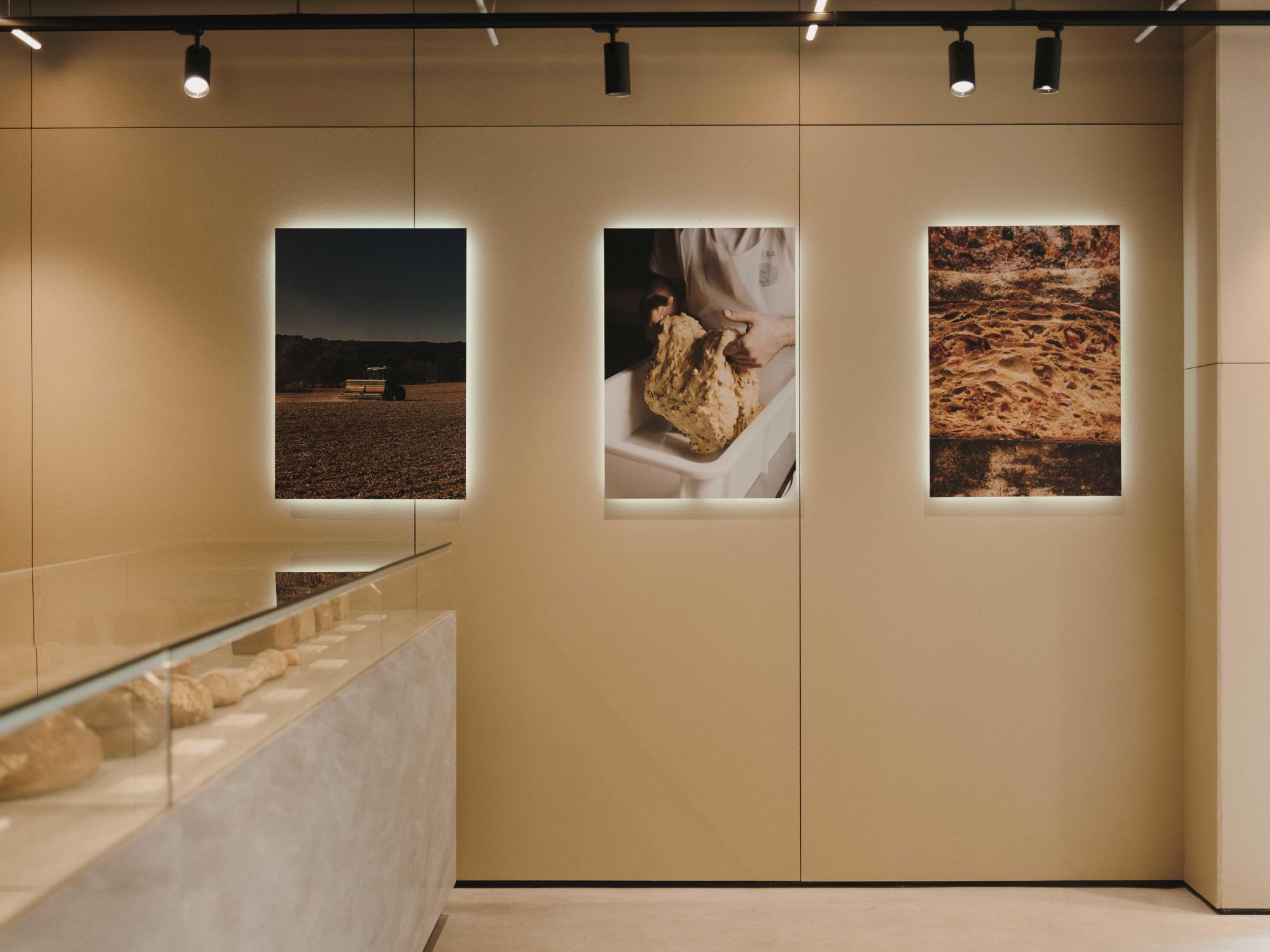 honext circular boards - circular wall cladding