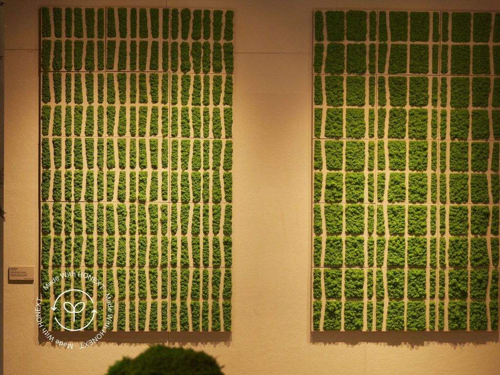 Albufera Made with HONEXT collection