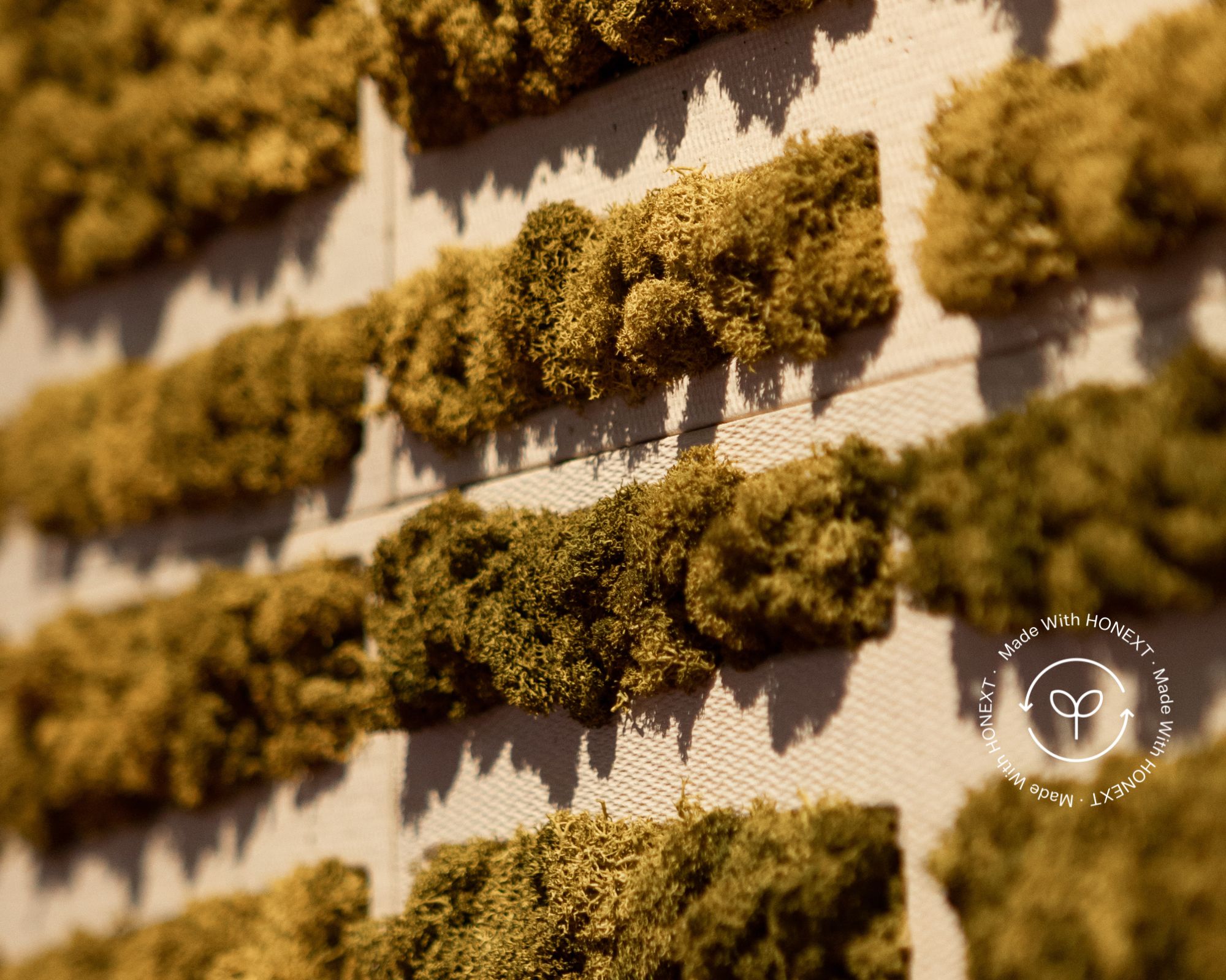 Close-up of ALBUFERA decorative wall panels with preserved natural lichen