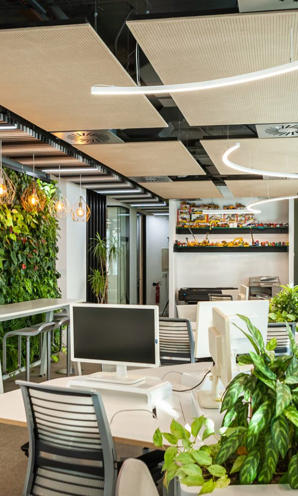 16_CONSTRUCÍA_OFICINAS-St