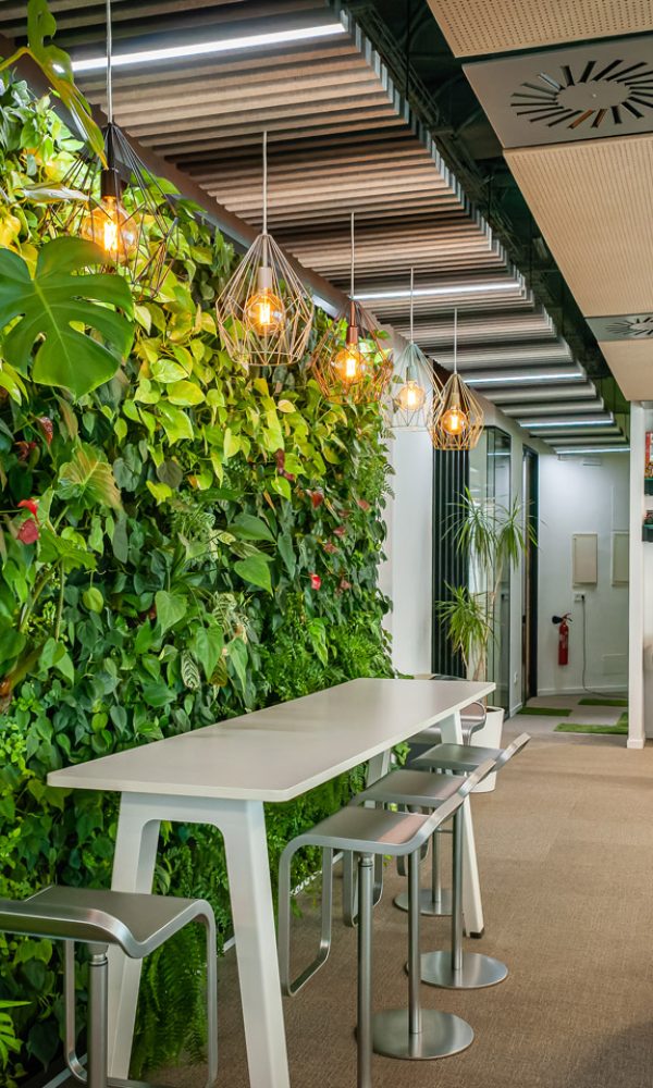 17_CONSTRUCÍA_OFICINAS-St