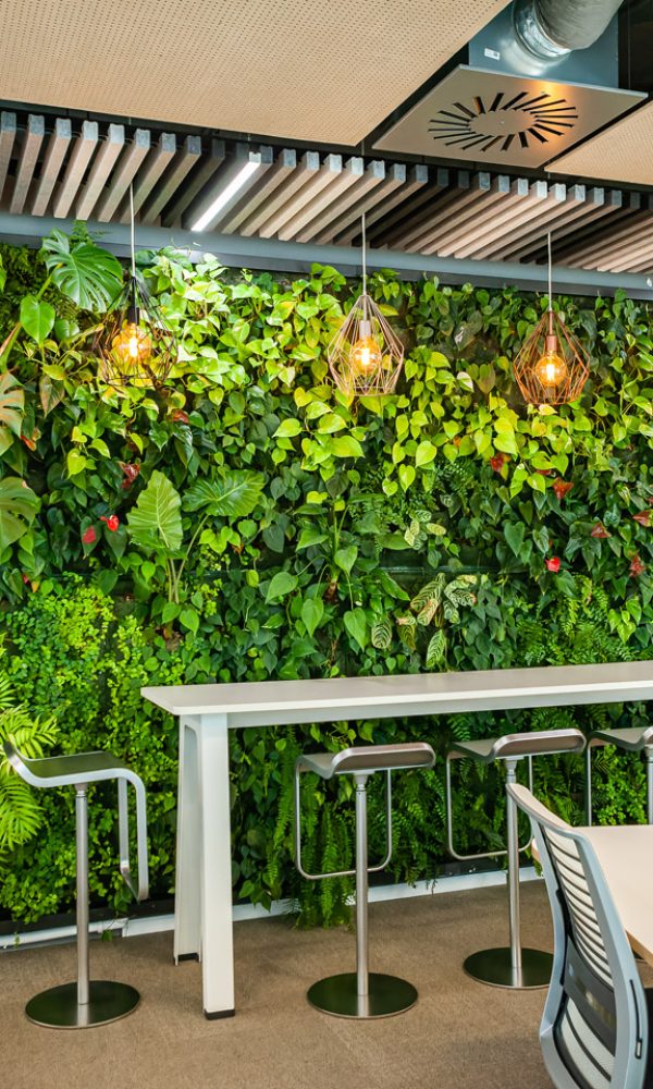 18_CONSTRUCÍA_OFICINAS-St